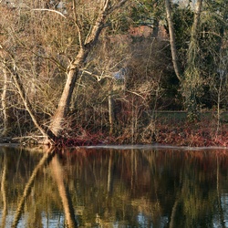 2026-01-08 Brandenburg an der Havel/Stadt/DSC_2386.JPG